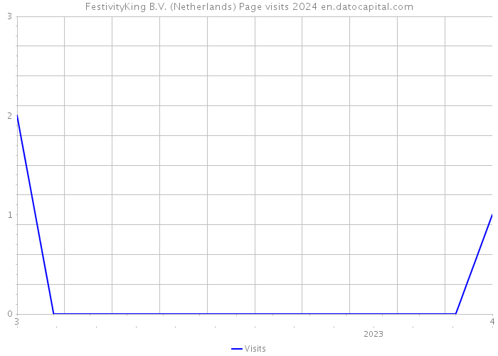 FestivityKing B.V. (Netherlands) Page visits 2024 