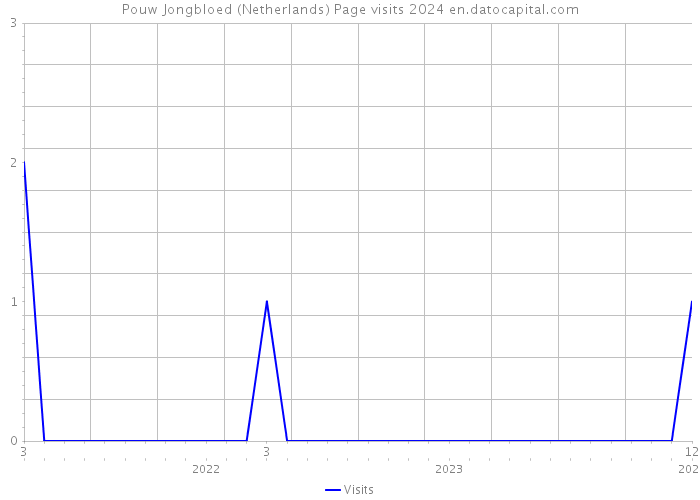 Pouw Jongbloed (Netherlands) Page visits 2024 