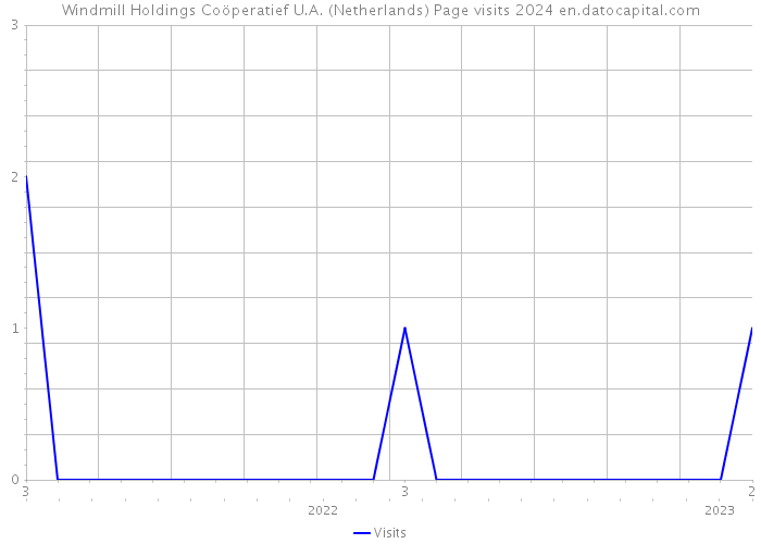 Windmill Holdings Coöperatief U.A. (Netherlands) Page visits 2024 