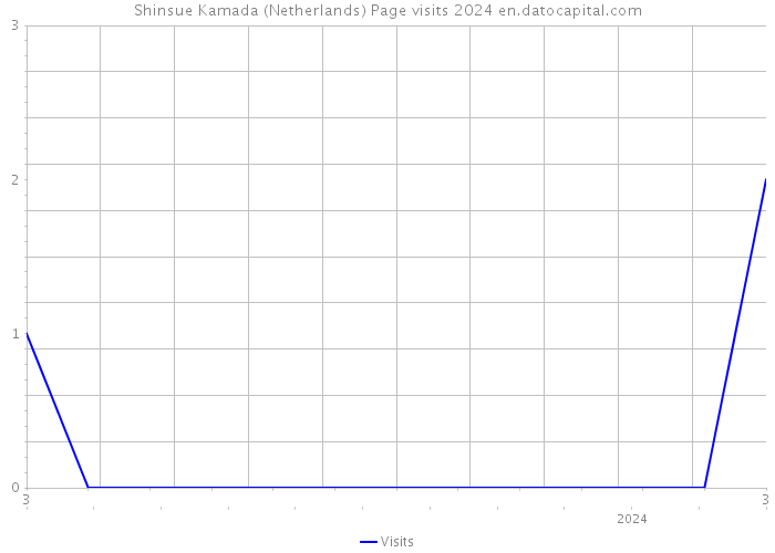 Shinsue Kamada (Netherlands) Page visits 2024 