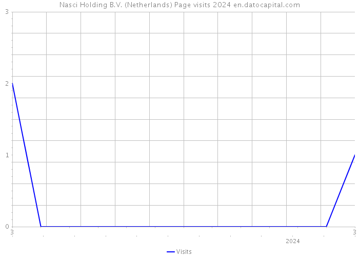 Nasci Holding B.V. (Netherlands) Page visits 2024 