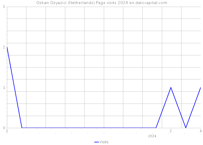 Ozkan Ozyazici (Netherlands) Page visits 2024 