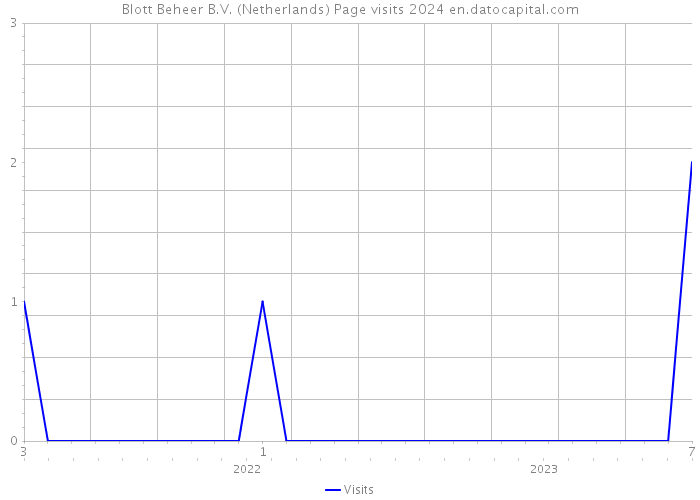 Blott Beheer B.V. (Netherlands) Page visits 2024 