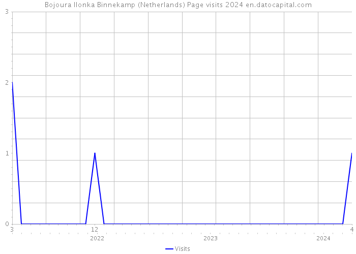 Bojoura Ilonka Binnekamp (Netherlands) Page visits 2024 