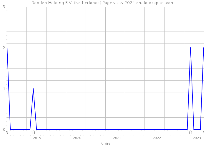 Rooden Holding B.V. (Netherlands) Page visits 2024 