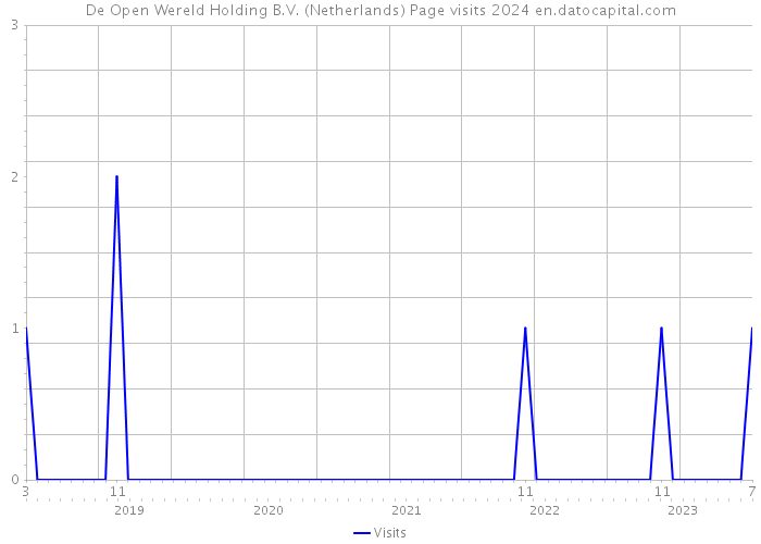 De Open Wereld Holding B.V. (Netherlands) Page visits 2024 
