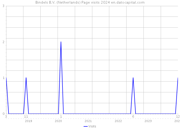 Bindels B.V. (Netherlands) Page visits 2024 
