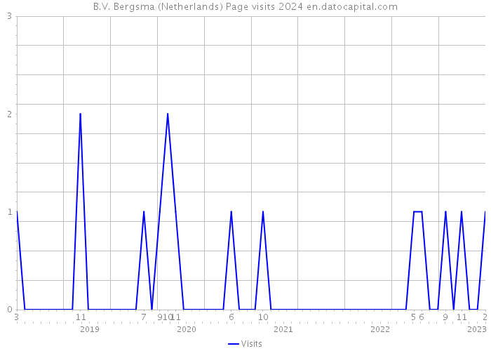 B.V. Bergsma (Netherlands) Page visits 2024 
