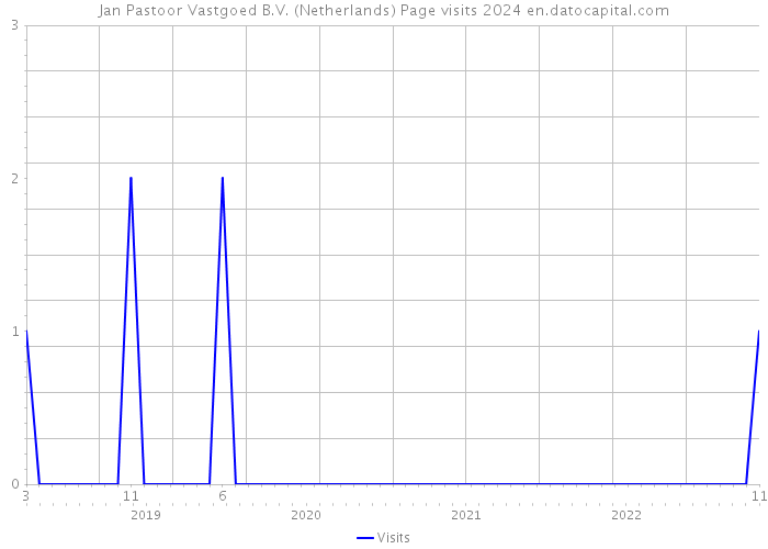 Jan Pastoor Vastgoed B.V. (Netherlands) Page visits 2024 