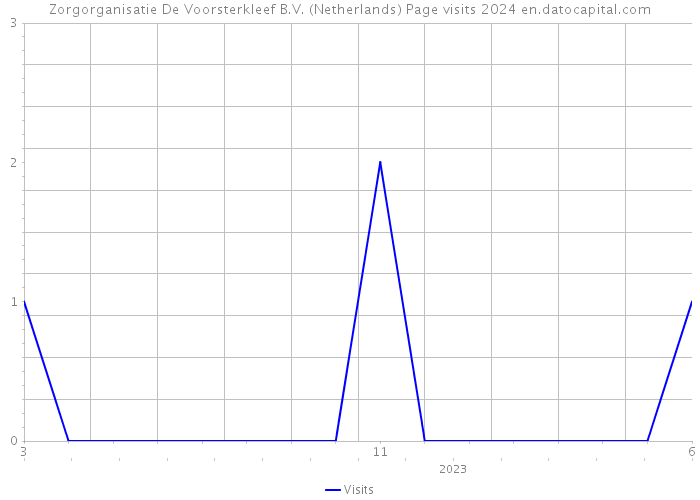Zorgorganisatie De Voorsterkleef B.V. (Netherlands) Page visits 2024 