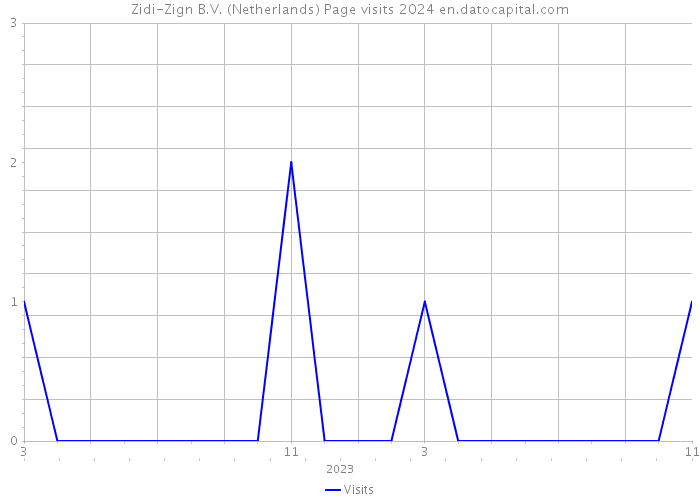 Zidi-Zign B.V. (Netherlands) Page visits 2024 