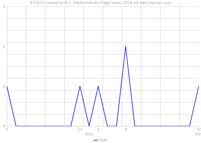 EYOU Commerce B.V. (Netherlands) Page visits 2024 