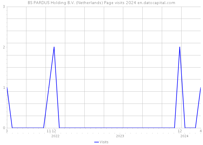 BS PARDUS Holding B.V. (Netherlands) Page visits 2024 