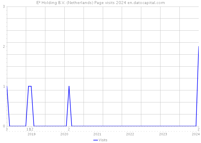 E² Holding B.V. (Netherlands) Page visits 2024 