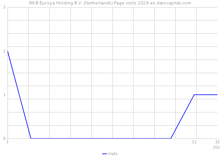 MKB Europa Holding B.V. (Netherlands) Page visits 2024 