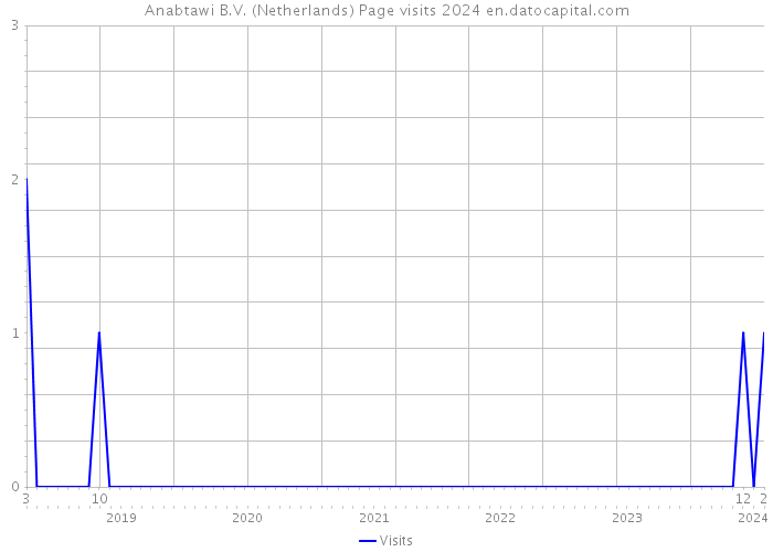 Anabtawi B.V. (Netherlands) Page visits 2024 