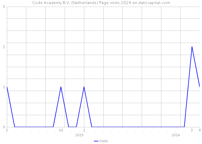 Code Academy B.V. (Netherlands) Page visits 2024 