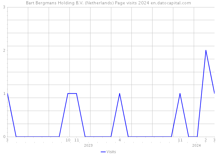 Bart Bergmans Holding B.V. (Netherlands) Page visits 2024 