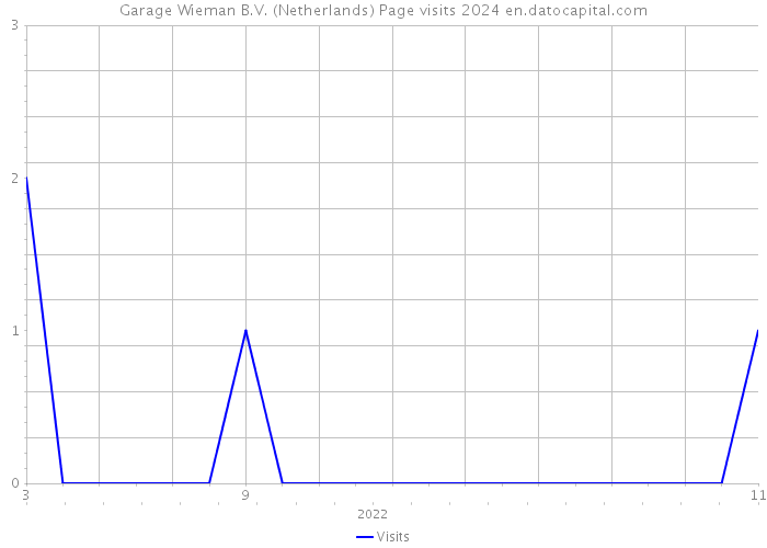 Garage Wieman B.V. (Netherlands) Page visits 2024 