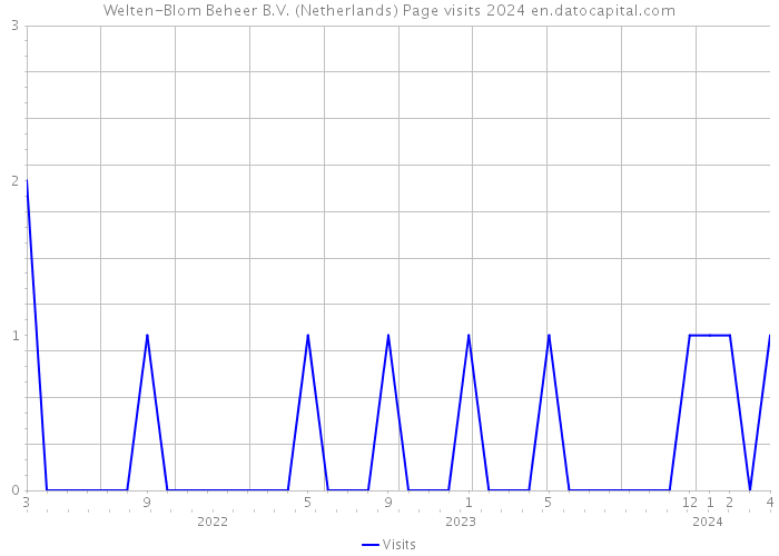 Welten-Blom Beheer B.V. (Netherlands) Page visits 2024 