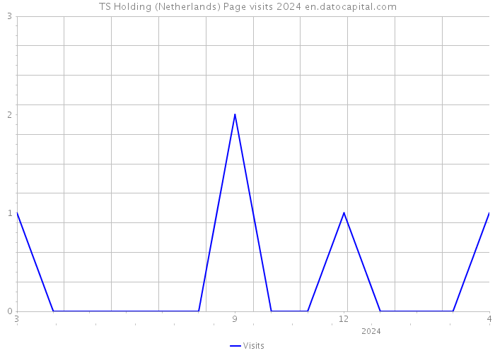 TS Holding (Netherlands) Page visits 2024 