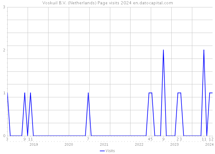 Voskuil B.V. (Netherlands) Page visits 2024 