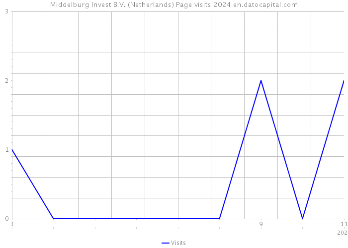 Middelburg Invest B.V. (Netherlands) Page visits 2024 