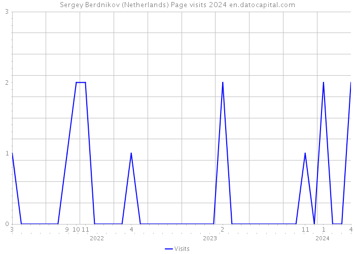 Sergey Berdnikov (Netherlands) Page visits 2024 