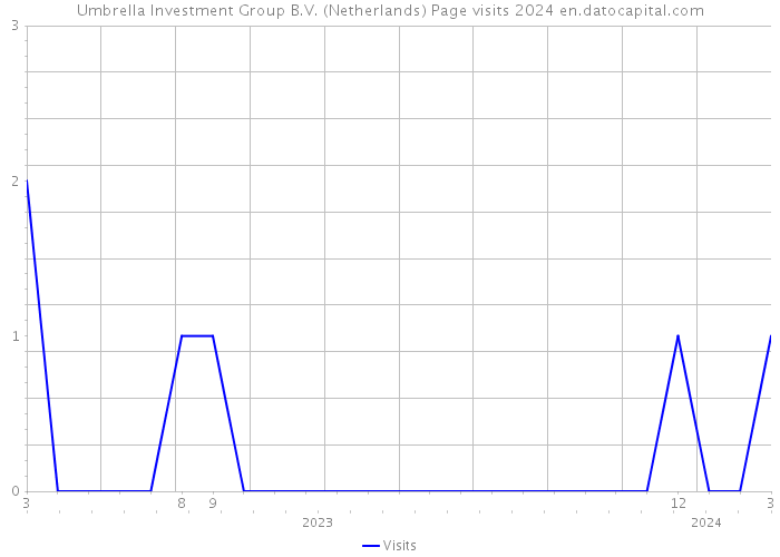 Umbrella Investment Group B.V. (Netherlands) Page visits 2024 