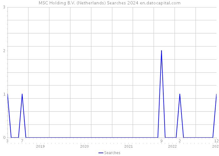 MSC Holding B.V. (Netherlands) Searches 2024 