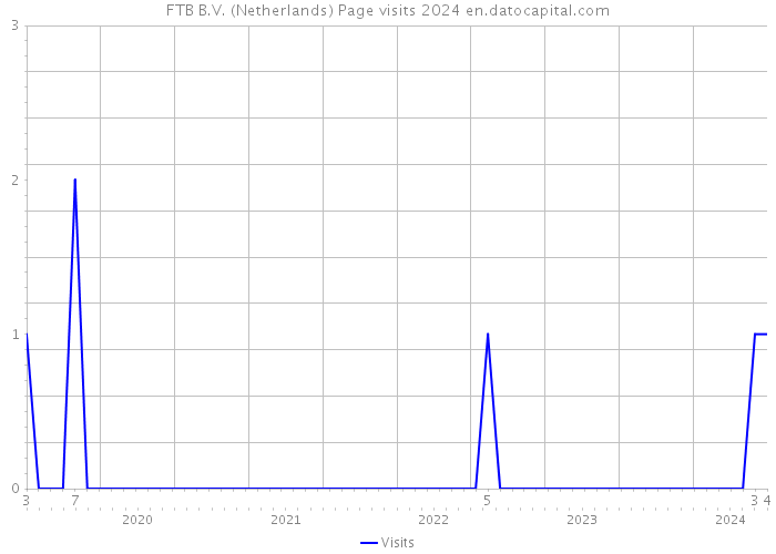 FTB B.V. (Netherlands) Page visits 2024 