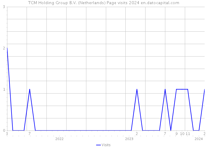 TCM Holding Group B.V. (Netherlands) Page visits 2024 