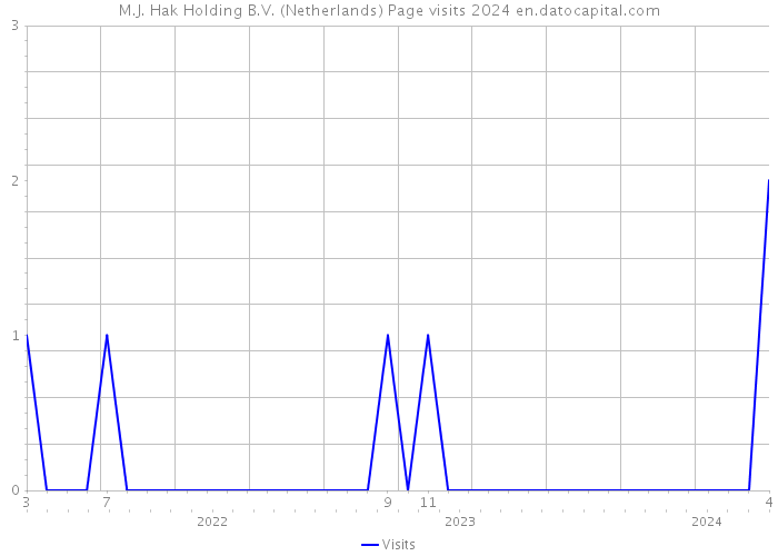 M.J. Hak Holding B.V. (Netherlands) Page visits 2024 