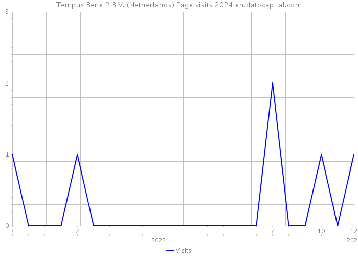 Tempus Bene 2 B.V. (Netherlands) Page visits 2024 