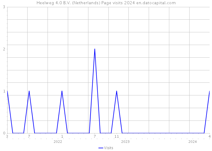 Heelweg 4.0 B.V. (Netherlands) Page visits 2024 