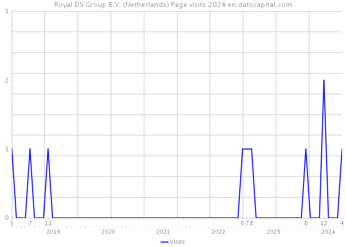 Royal DS Group B.V. (Netherlands) Page visits 2024 