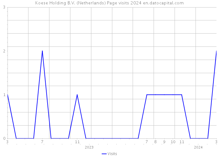 Koese Holding B.V. (Netherlands) Page visits 2024 