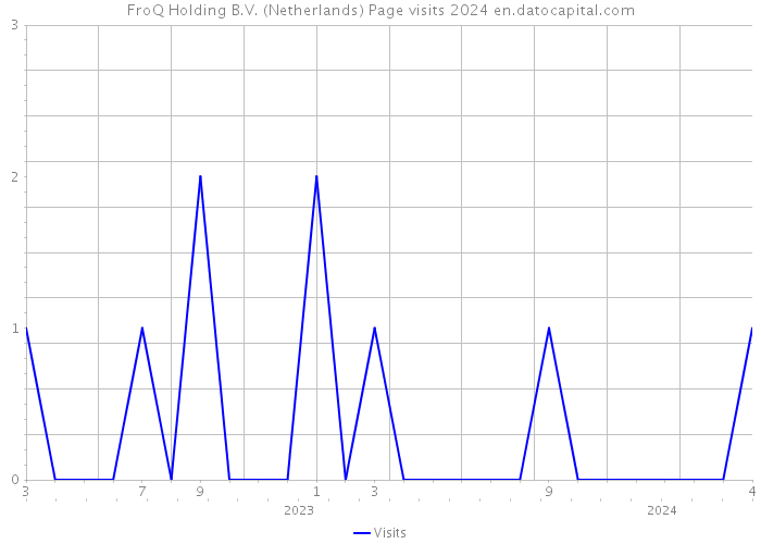 FroQ Holding B.V. (Netherlands) Page visits 2024 