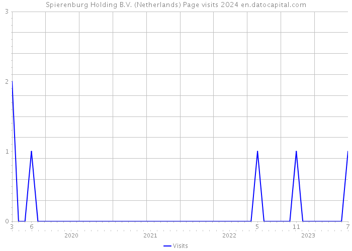 Spierenburg Holding B.V. (Netherlands) Page visits 2024 