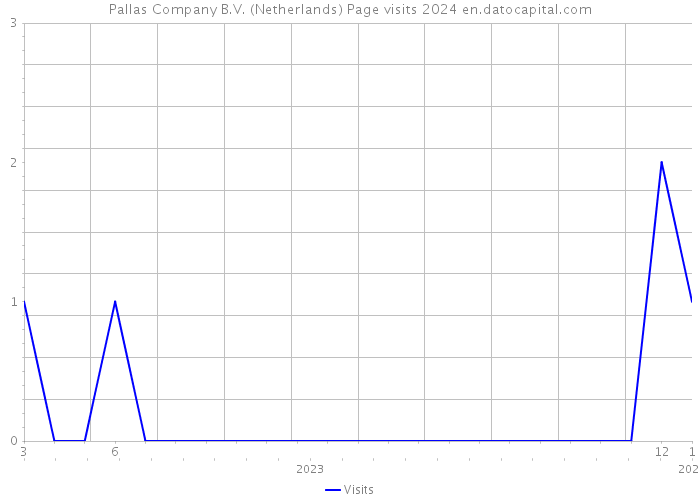Pallas Company B.V. (Netherlands) Page visits 2024 