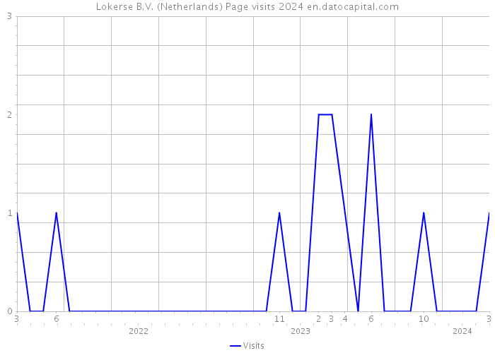 Lokerse B.V. (Netherlands) Page visits 2024 