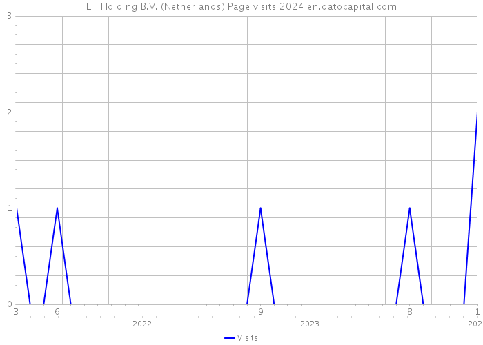 LH Holding B.V. (Netherlands) Page visits 2024 