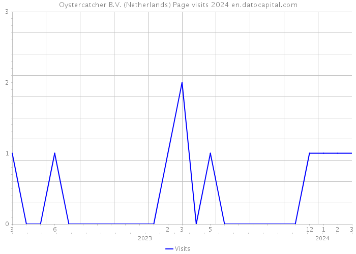 Oystercatcher B.V. (Netherlands) Page visits 2024 