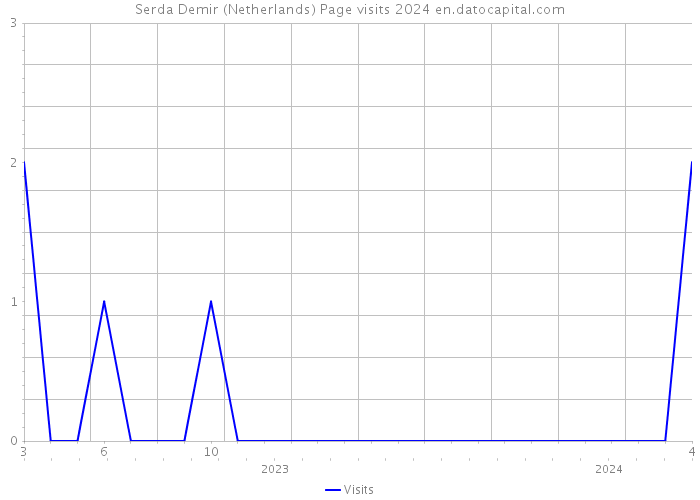 Serda Demir (Netherlands) Page visits 2024 