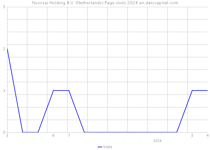 Noorzai Holding B.V. (Netherlands) Page visits 2024 