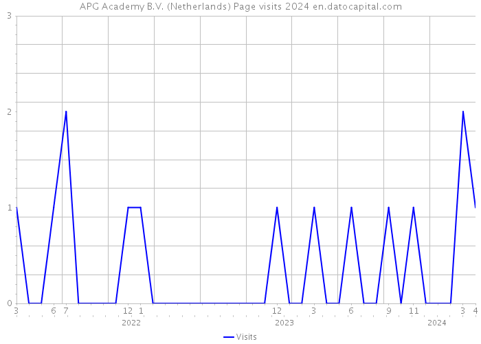 APG Academy B.V. (Netherlands) Page visits 2024 