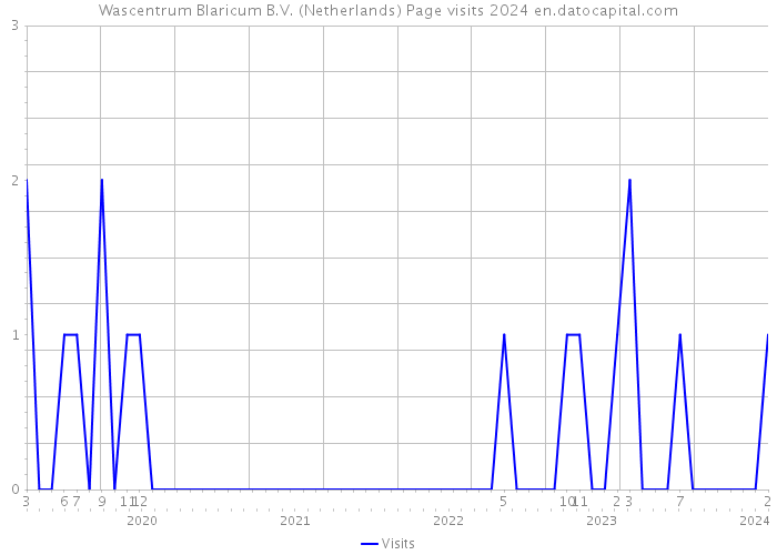 Wascentrum Blaricum B.V. (Netherlands) Page visits 2024 