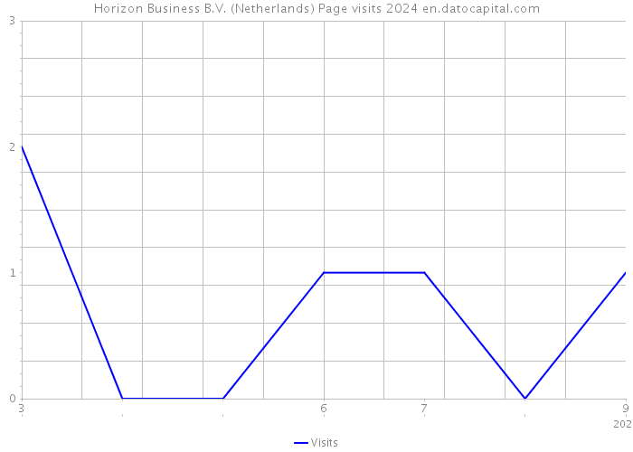 Horizon Business B.V. (Netherlands) Page visits 2024 