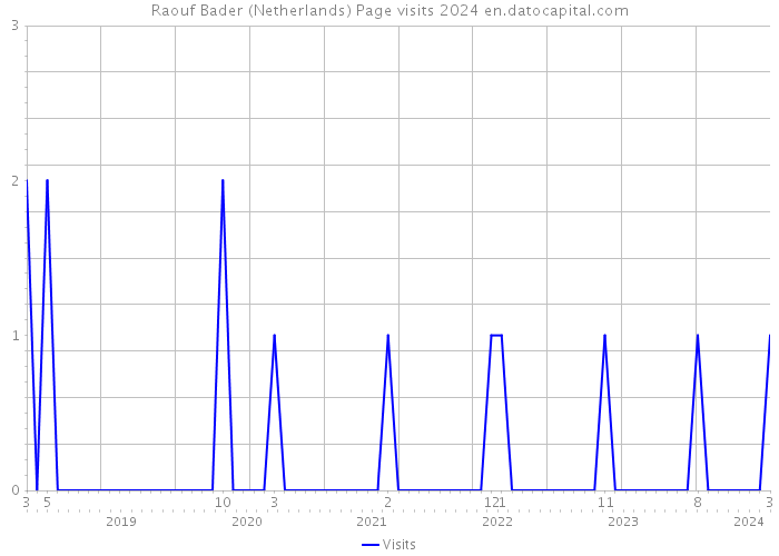 Raouf Bader (Netherlands) Page visits 2024 