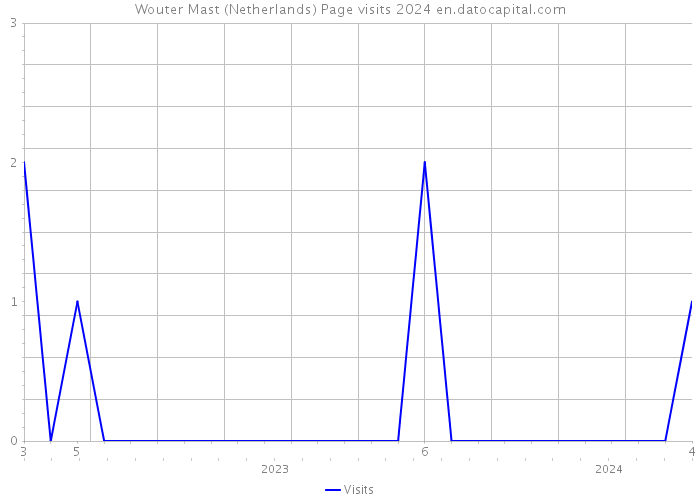 Wouter Mast (Netherlands) Page visits 2024 